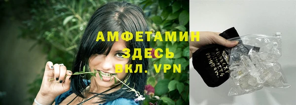 твердый Осинники