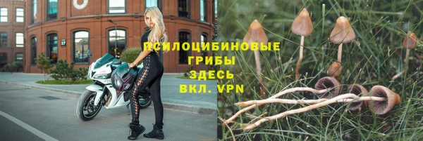 ECSTASY Струнино