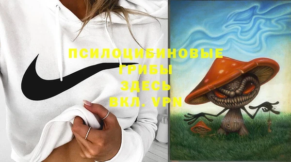 стафф Пересвет