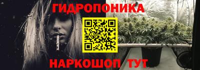 ешки Гатчина