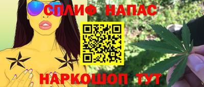ешки Гатчина