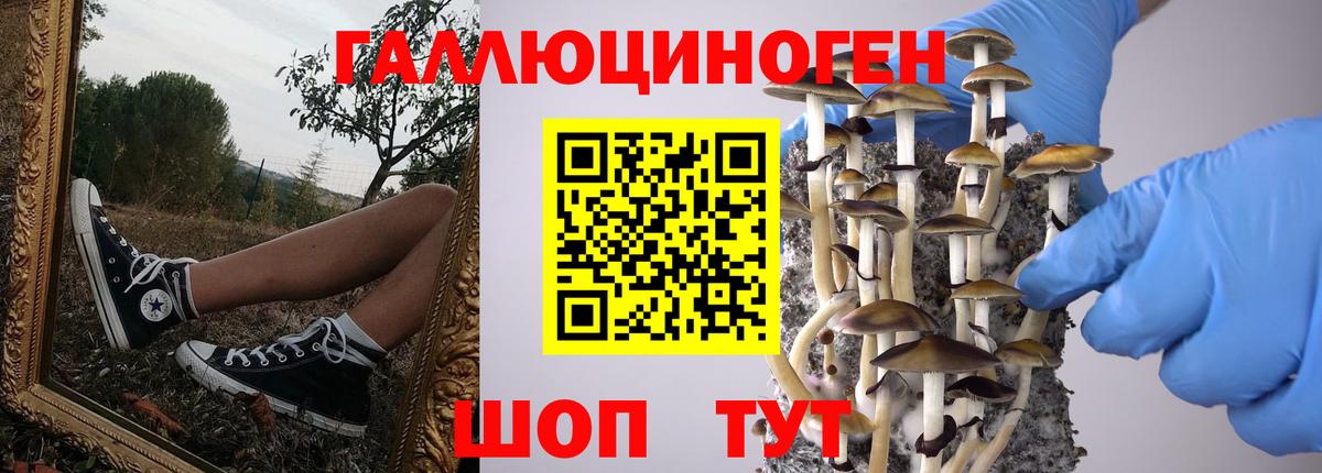 Галлюциногенные грибы Magic Shrooms  Вход с VPN  Аксай 